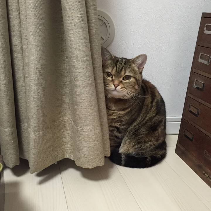 7e15323f 6cb5 46b0 a303 83a0c85fcd2c