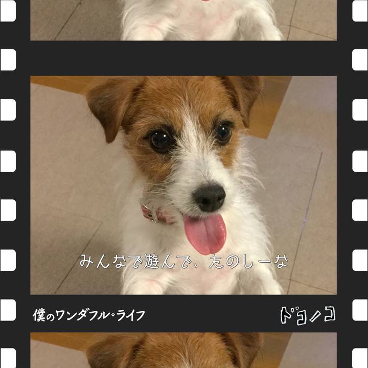 7e1540ff 21b4 4ece 92fb fcdd3c84c45c