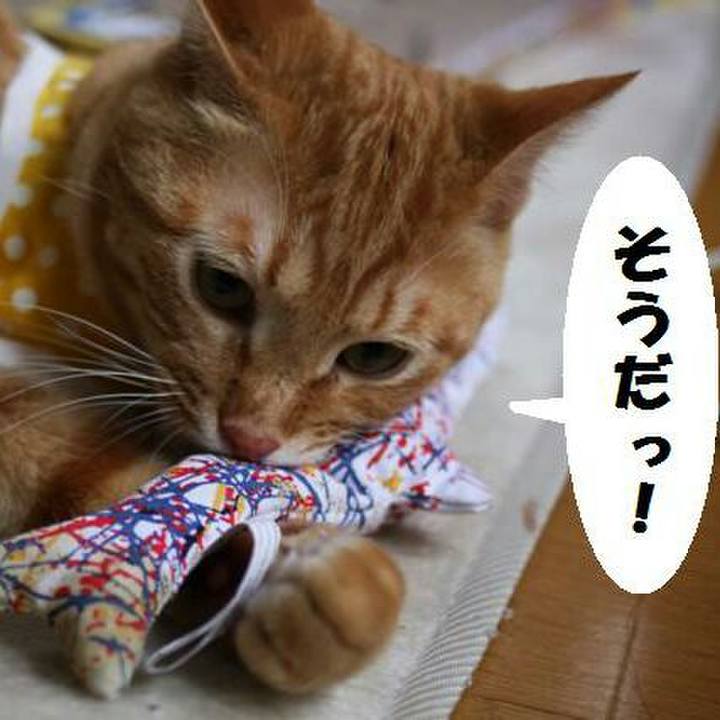 7e15c997 c195 4cd7 868e 15d225c12de6