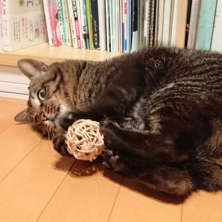 7e164afb d2fc 4450 9235 6af90094c609