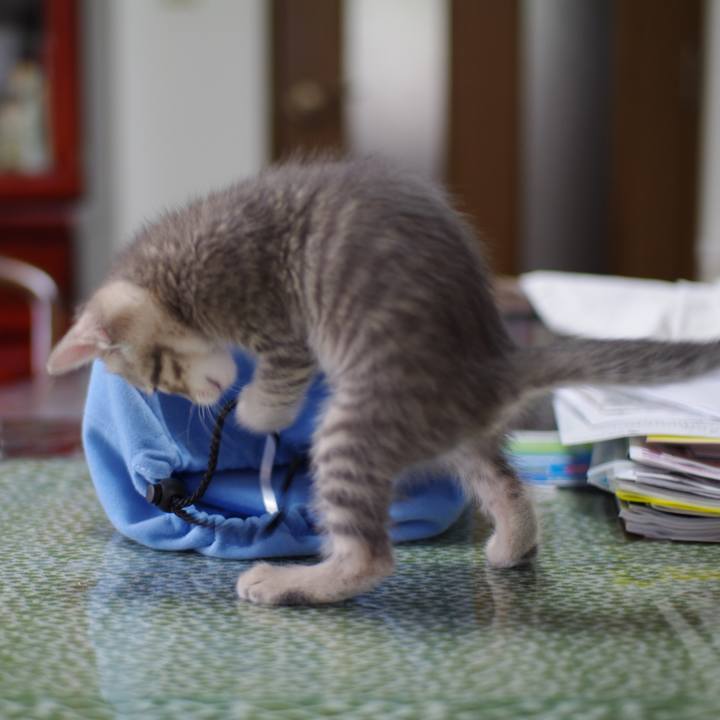 7e167aca 097d 4753 858d 915ad64617f6