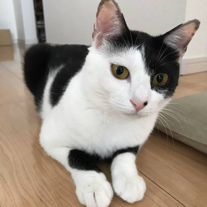 7e16c628 07e3 4b84 b55c 52f23f9c38ef