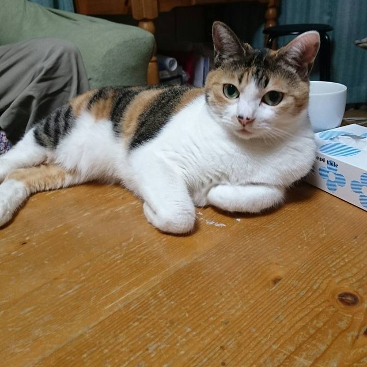 7e16e7af 6460 41d0 9c6c c3b8caf2cff4