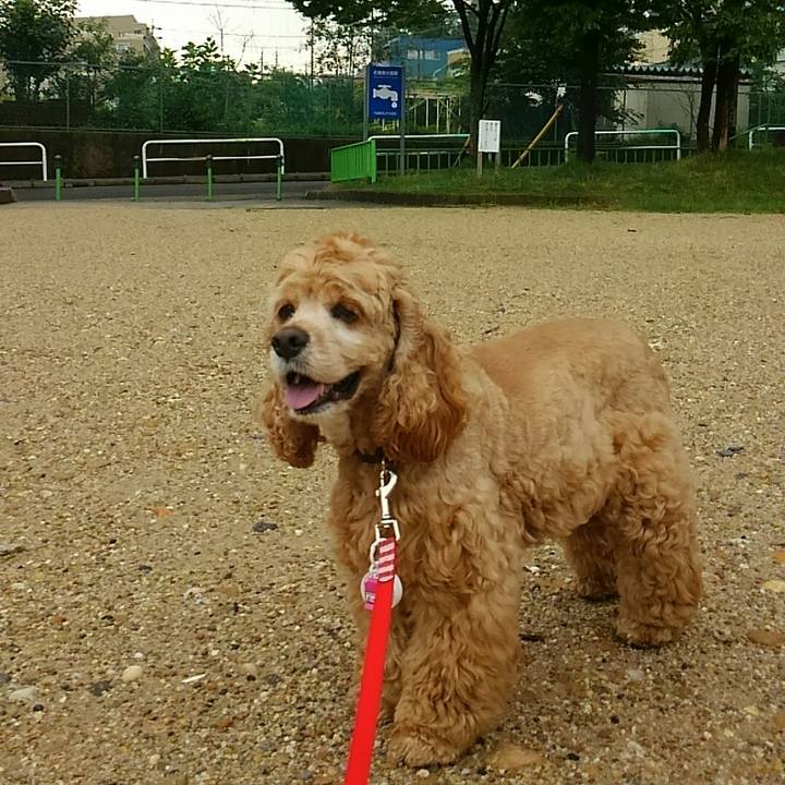 7e178df2 5449 495f 8c36 eb94b0496750