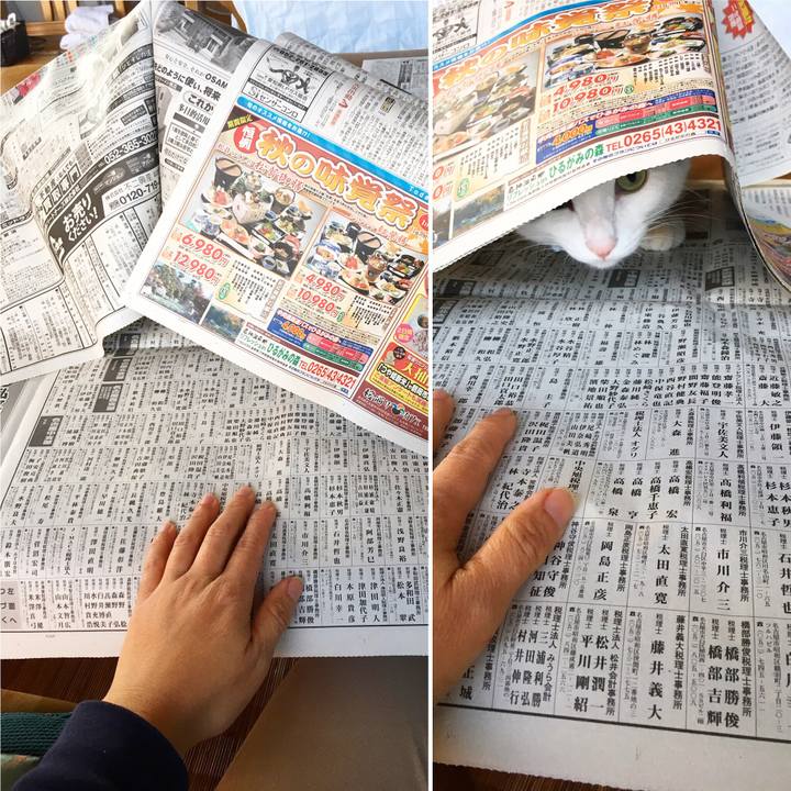 7e17e100 55ef 470e 8d61 342ed21825f8