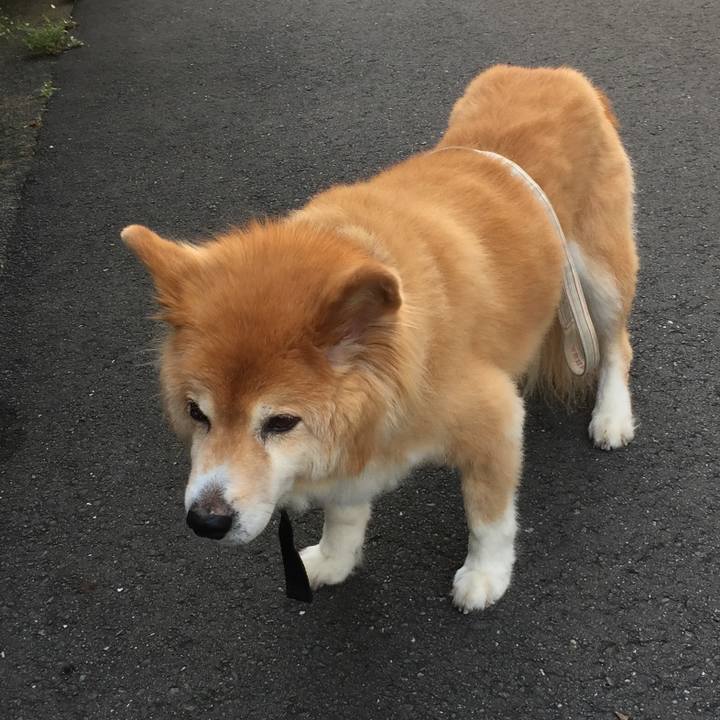 7e18145f b9d2 496e aa62 805ed9295108