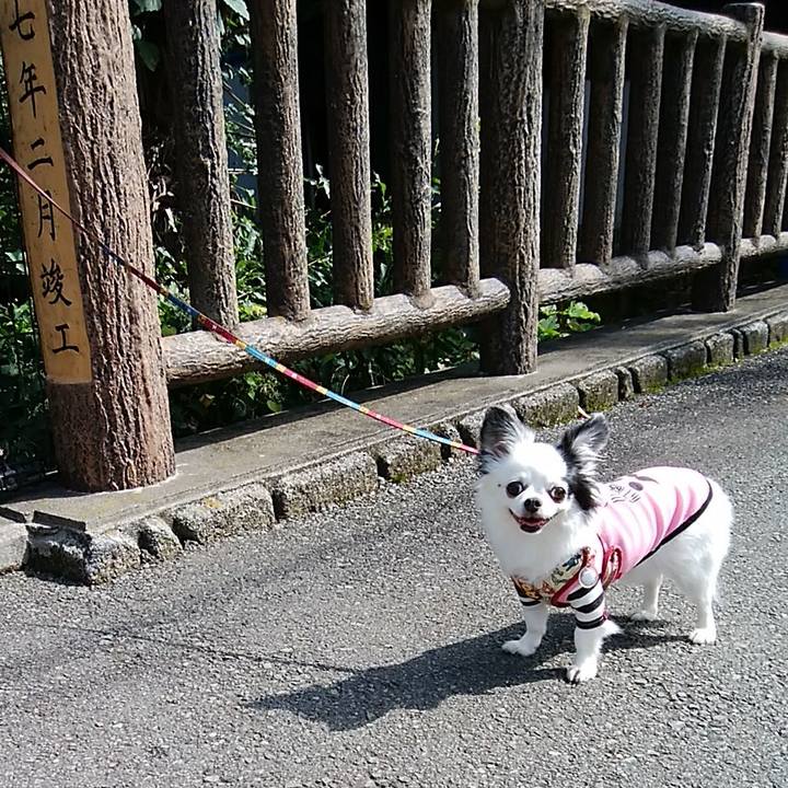 7e187605 4c87 4be6 bbfa 06e7cd823ec5