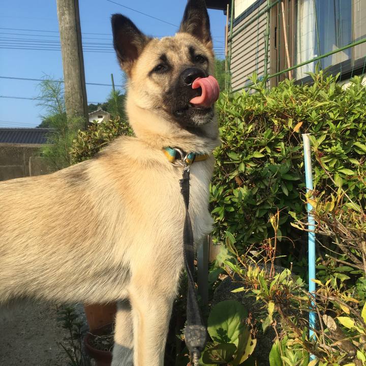 7e192e15 996a 478f a61d 052a287f358d