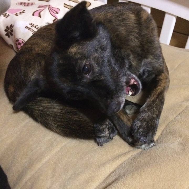 7e193f7d eb14 4dbe a59f b32b2229f2e8