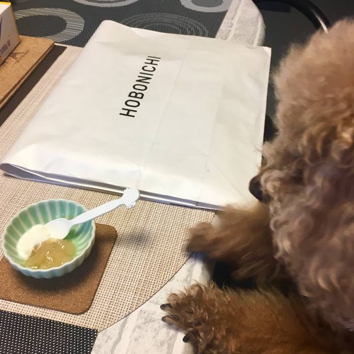 7e19c995 a454 4017 8404 705dd0da1b3f