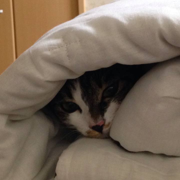 7e19eb6e 5f90 4913 ab19 5ef142985b2c