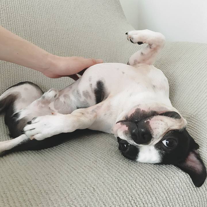 7e1a6726 72ab 4026 8717 45d8ffd611b3