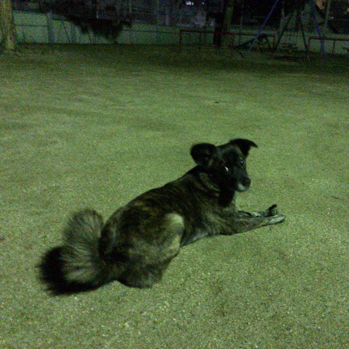 7e1ac99a a401 4ba3 9140 679f71412734