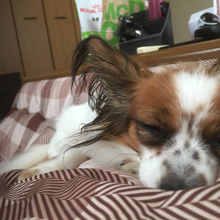 7e1b0c2c 3b3d 4677 a2e0 a7662f2f39ef