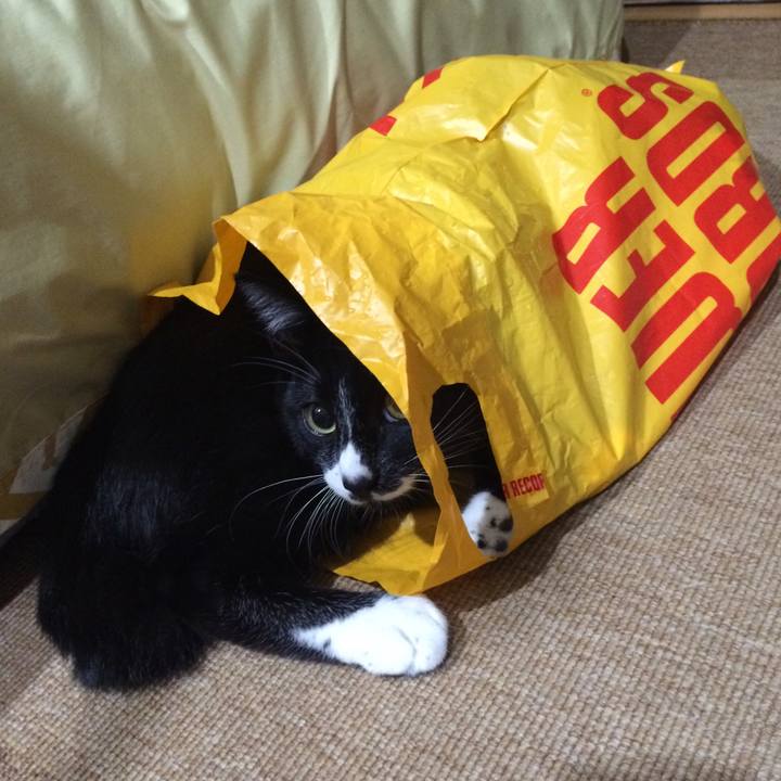 7e1b5505 a1ba 410a ab17 d852d3705ac6