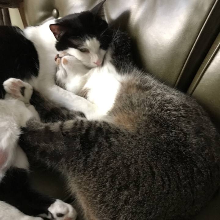 7e1b8aca 2808 45b7 9de5 0e79a460e4d4