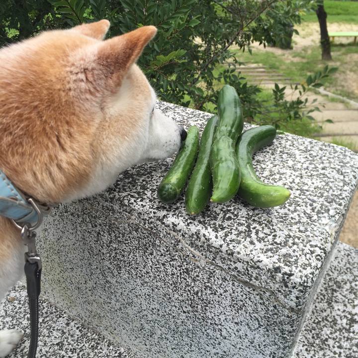 7e1c2129 70ff 479a ae74 f49a6f7ddfbc