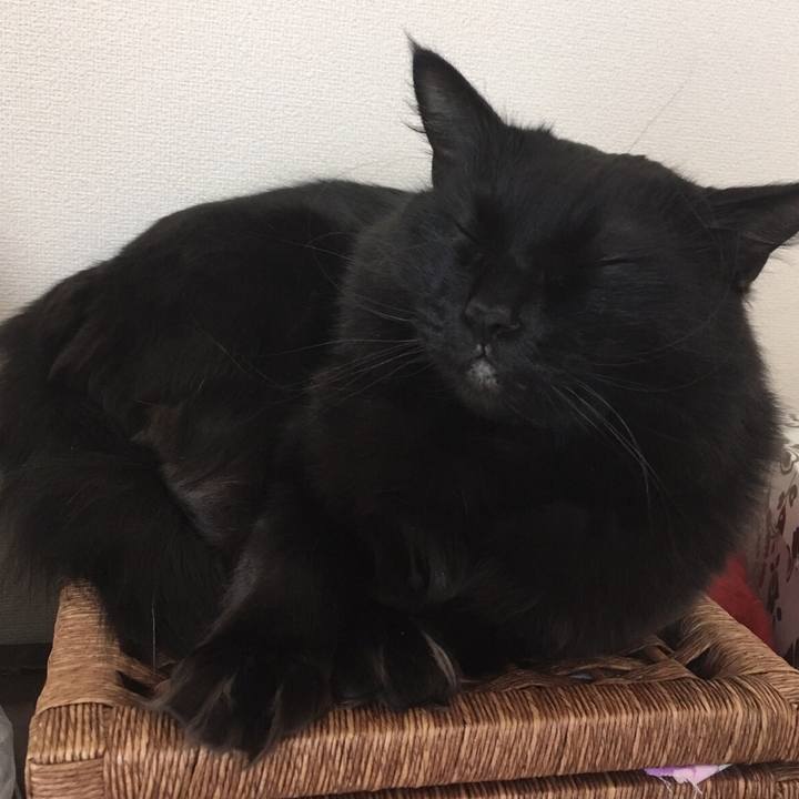 7e1c63cc 5023 4497 a4ec b1710a486346