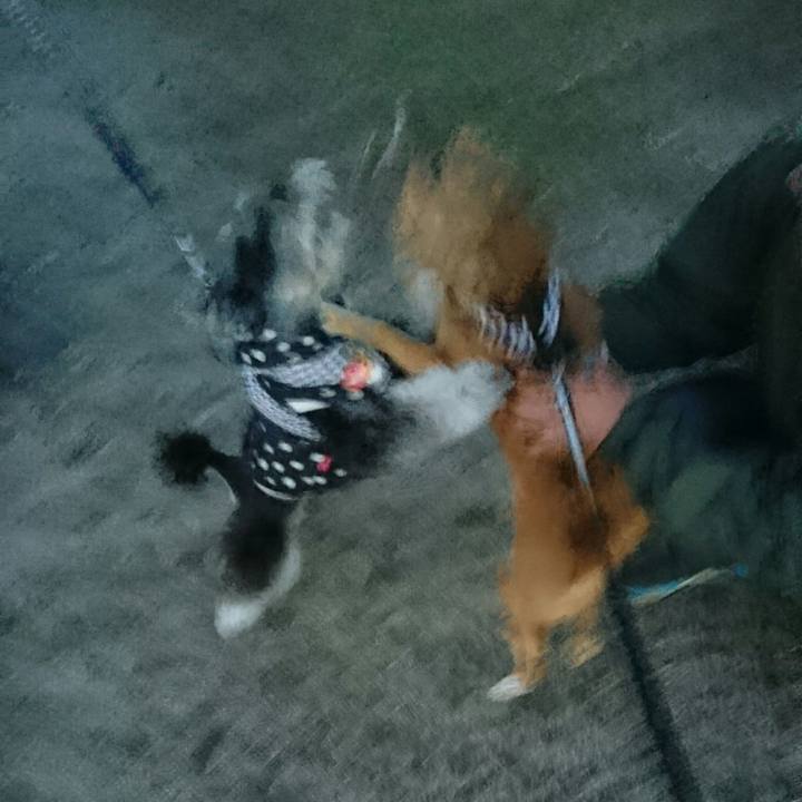 7e1c7bdd 4136 479b b0a8 e8d5ed5ba54d