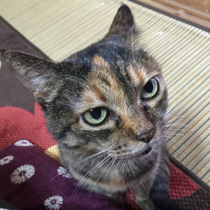 7e1d9c84 7037 4f21 b1e1 f5fbafac07f5