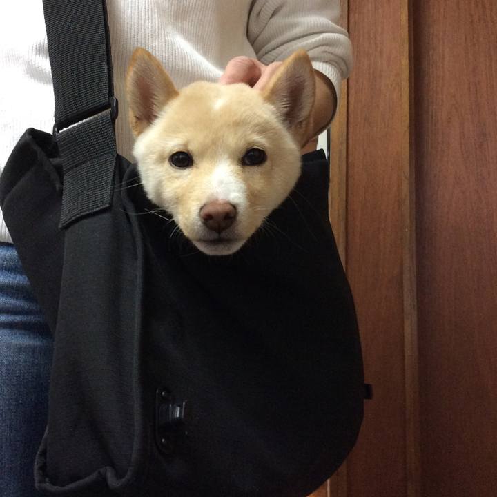 7e1ebf86 25ca 4874 8292 b7682b1addd1