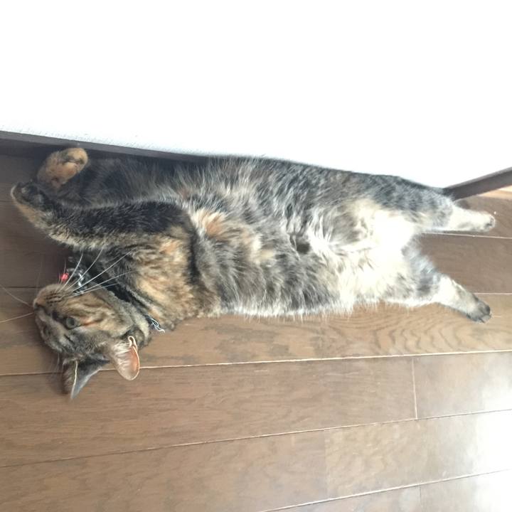 7e1fd794 690a 4694 89a7 7449eda74be0