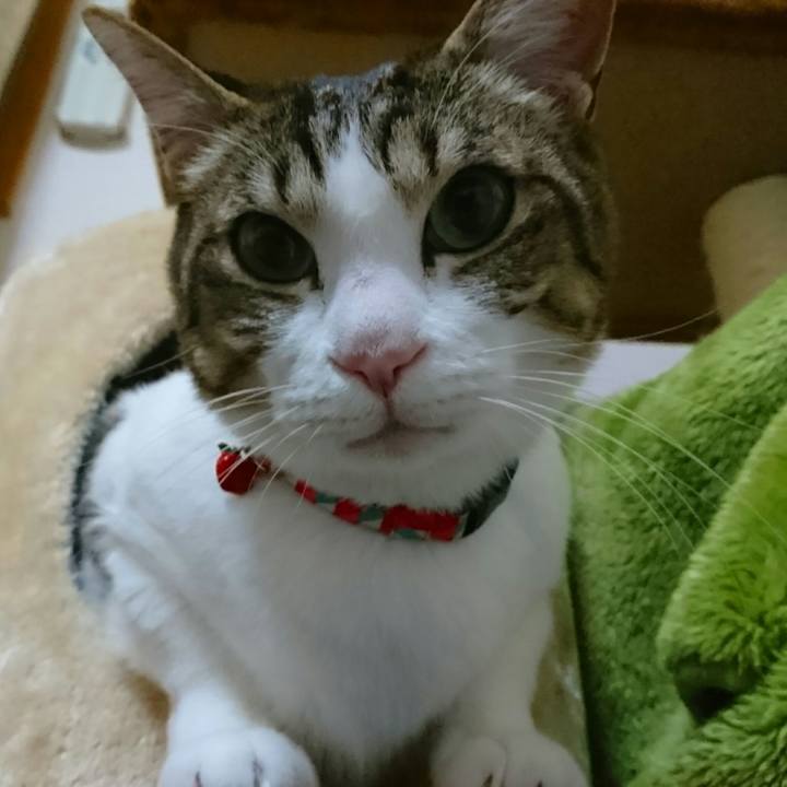 7e20e3a9 fc13 4533 9024 b69a9286ee5c