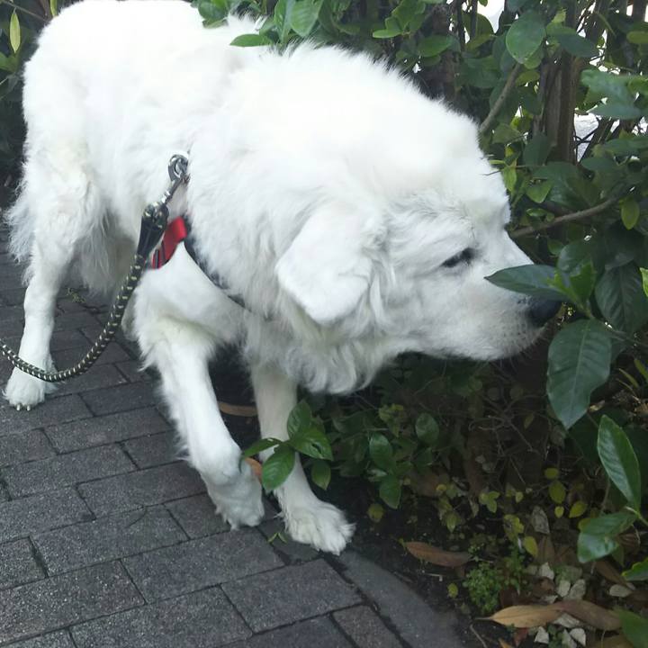 7e21238a 35a1 4dc8 ad24 718db9aadc5f