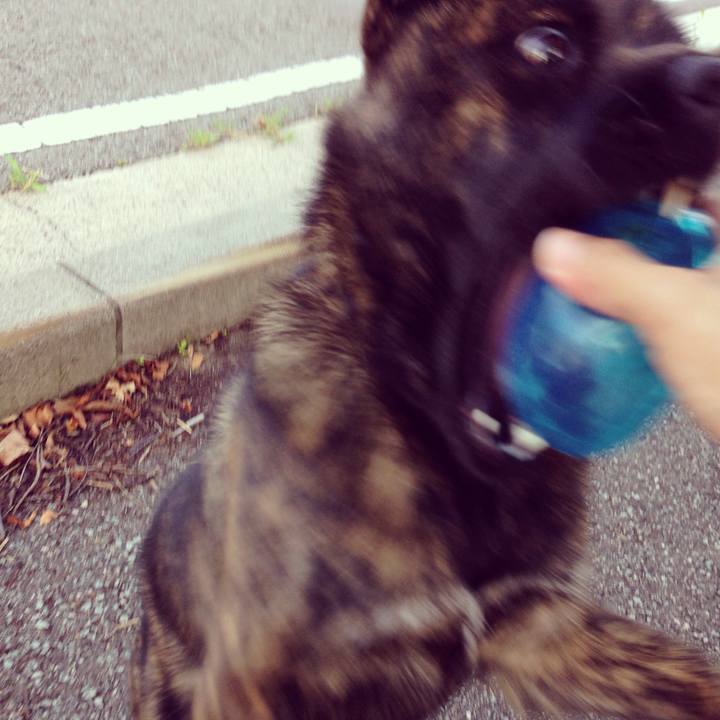 7e2142c2 17a2 4f31 895a 784146636345