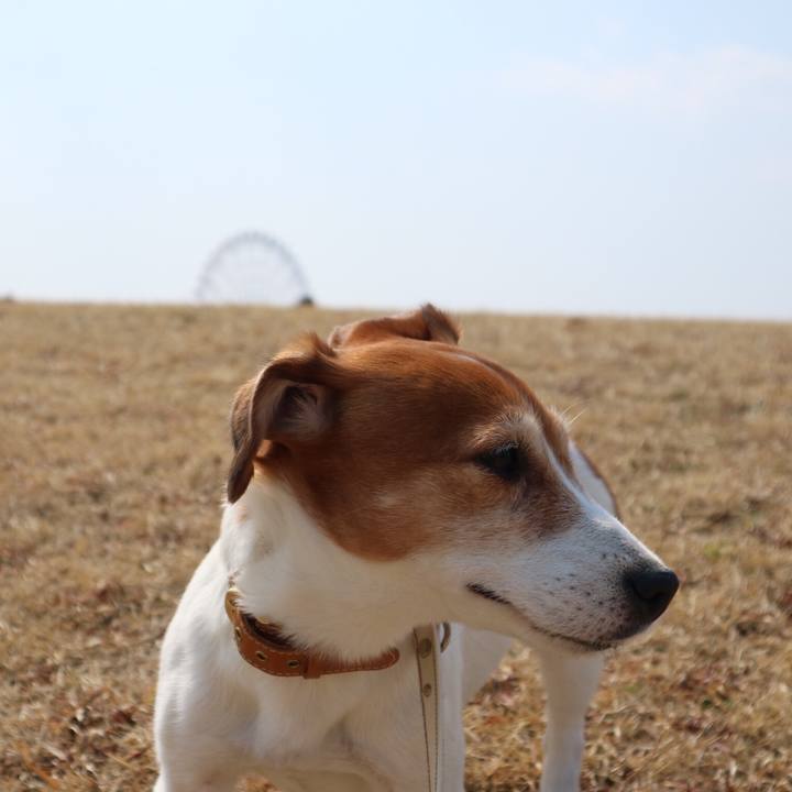 7e215d98 ef8d 4804 8c10 af15a5f5808c