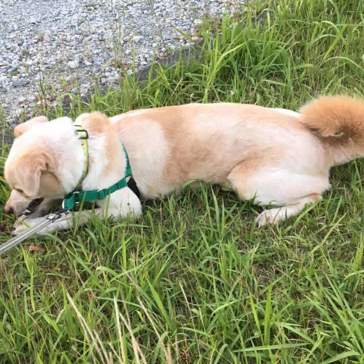 7e21b2ea 3918 4011 9abf e7212b0c752d