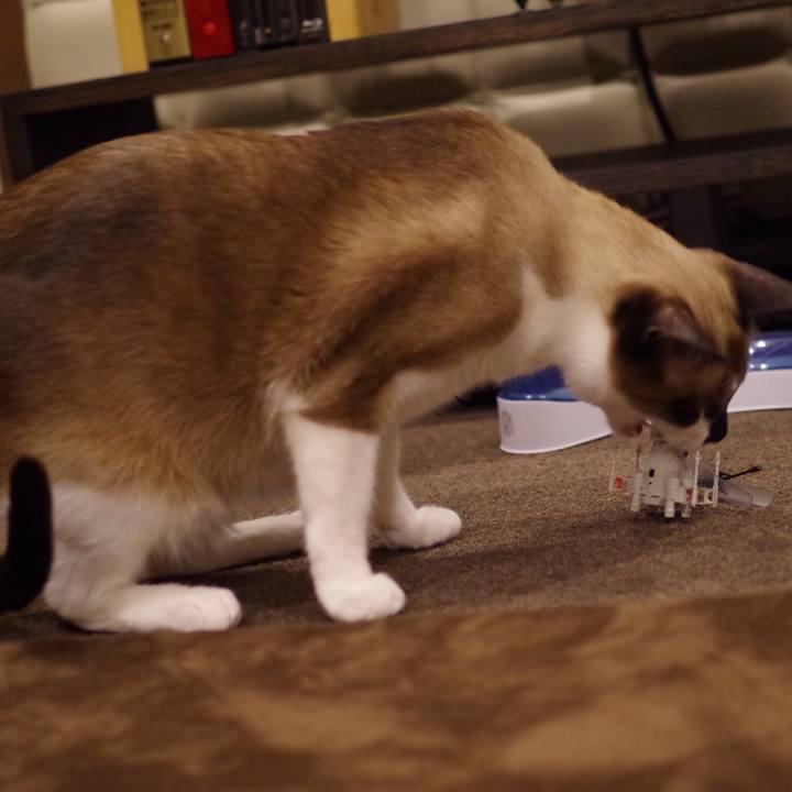 7e22097c 5557 4507 bfff 4e9df8ff478a