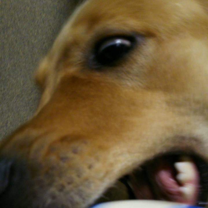 7e220ed7 7822 43a4 8769 4175efd7e2f7