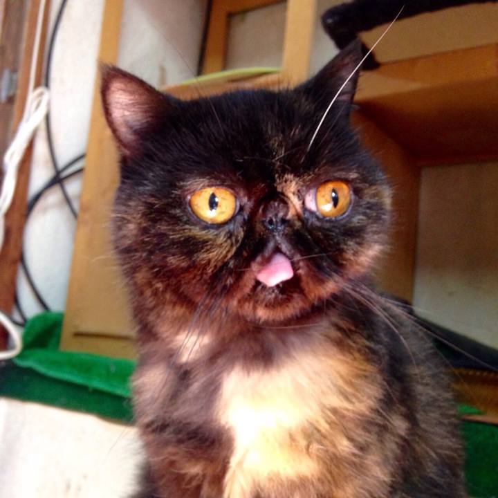 7e221765 6bb5 4e58 855a 1a13bf2decee