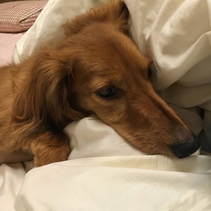 7e224b75 4b55 4bd0 8ff8 26ee55a8f9bc