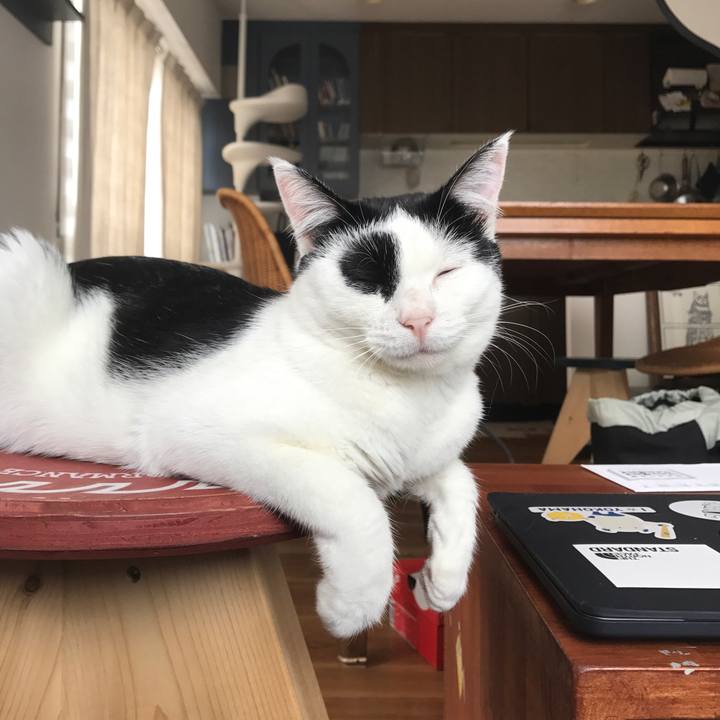 7e22e862 d5ec 4076 8a8e 0289801ad0f7