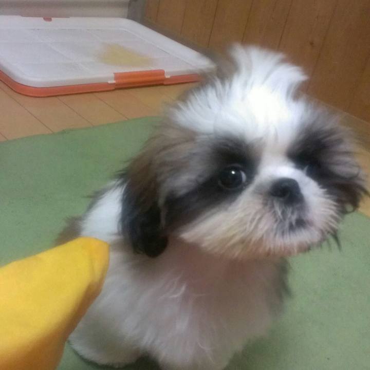 7e23dd1b 2bdd 46d4 bc1d 164e203416dc