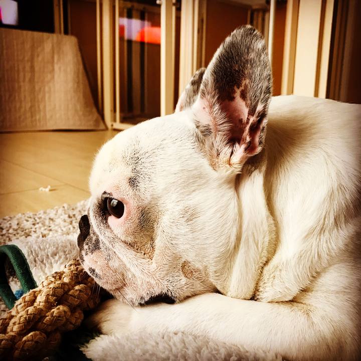 7e23f86a b31d 4676 bd58 9f8fe3025c1b