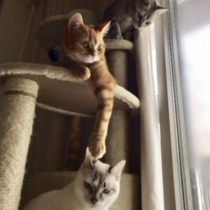 7e243203 ee05 4c8f bdbf 14ae16b21d80