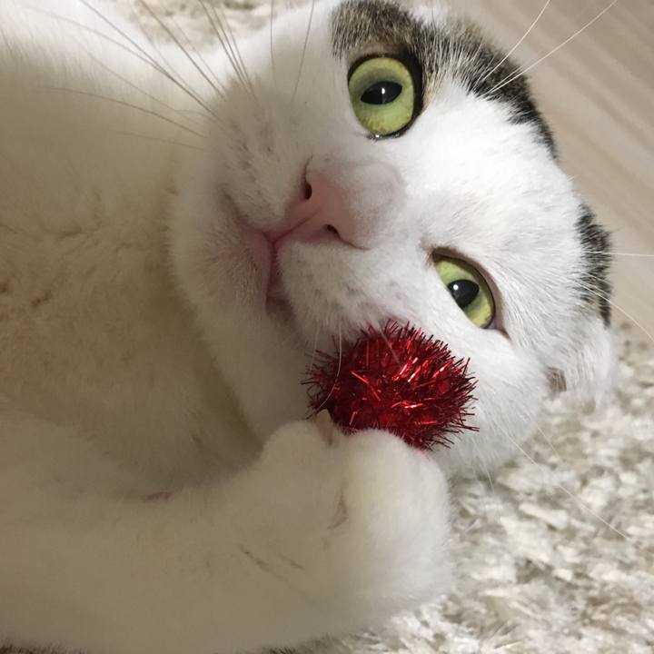 7e24456c acb3 4c89 ac64 d2fbdb6c4cf1