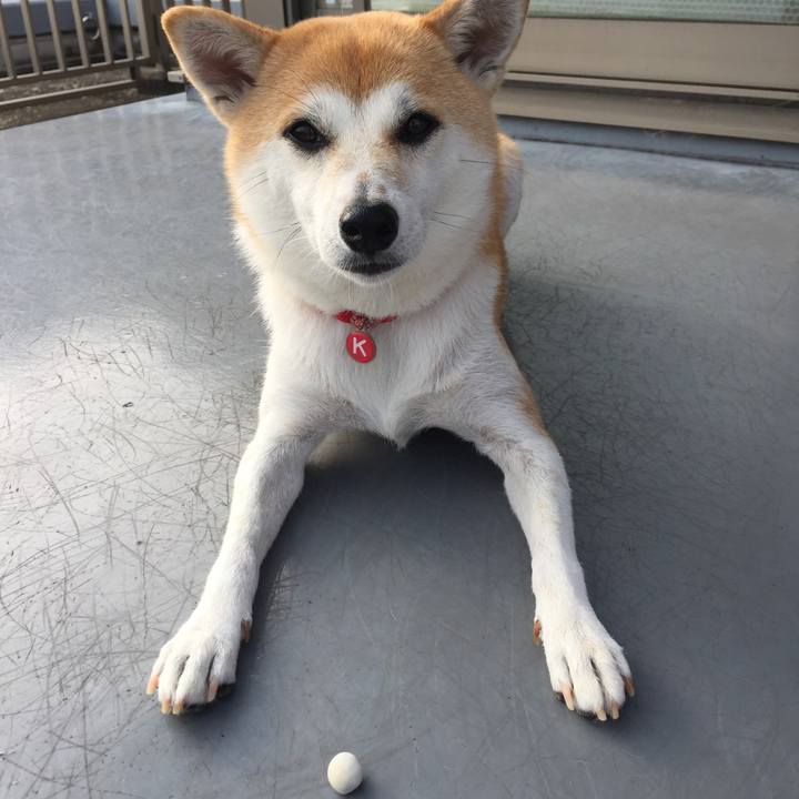 7e247c91 7faa 4692 8951 48de81520e01