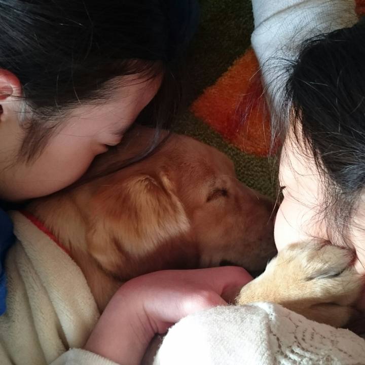 7e24d7c4 7688 4ed5 a981 654cd15defc8