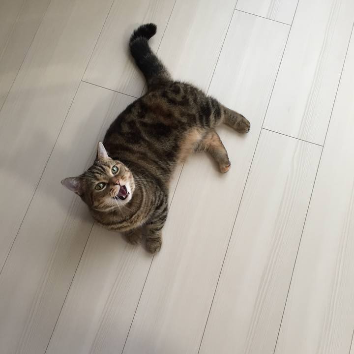 7e25048b 4620 405a b3da 0a524abc7d37