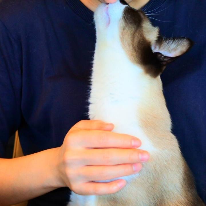 7e25215e 8beb 4d05 a708 b3abc1170e34