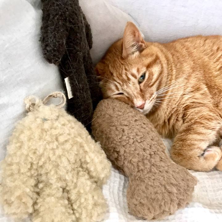 7e252375 a354 4908 9e7a 6fe7d9c0614c