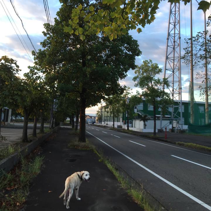 7e252ca8 ed83 4c80 9ea8 8375d370ee4d