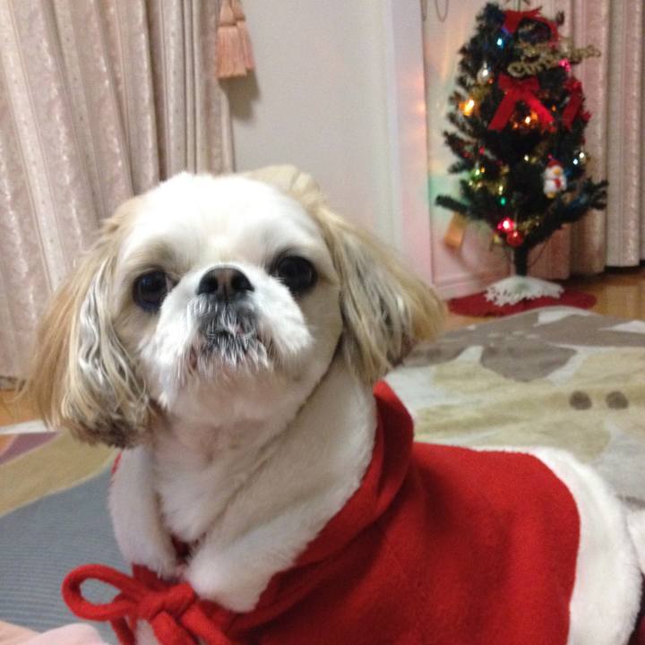 7e253f0e d286 47fa 9ab8 da0fe84e96d4