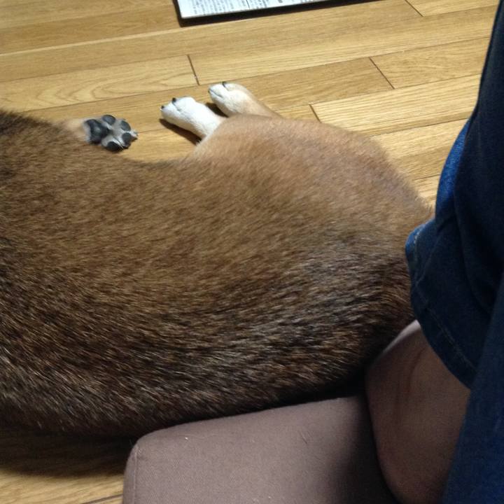 7e260b89 7246 40a0 9807 d685e12f5556