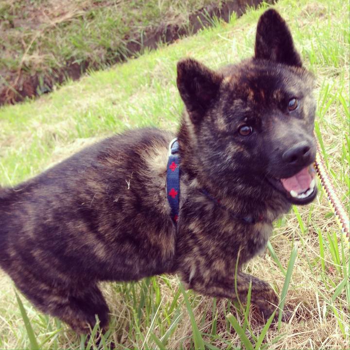 7e263e70 6b19 4c28 8a38 3a6bd12c59ff