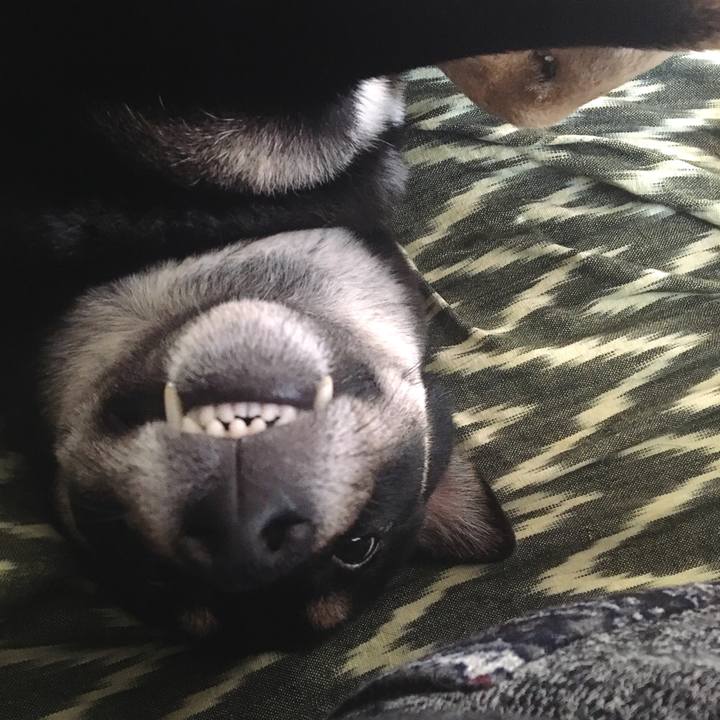 7e26c4eb c6df 4670 a450 be215b06f80e